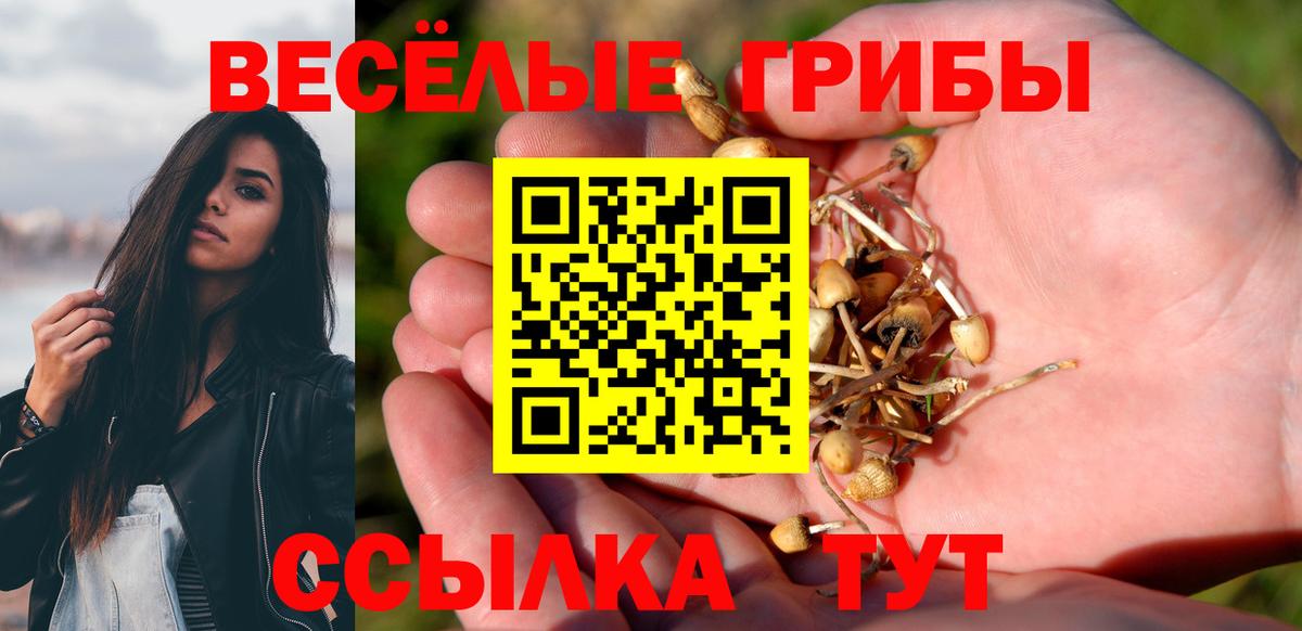 Старая Русса  Галлюциногенные грибы Magic Shrooms  Вход с VPN 