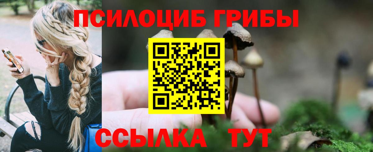 Псилоцибиновые грибы ЛСД Старая Русса